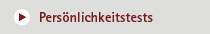 Personalanalyse mittels Extended DISC und Bochumer Inventar